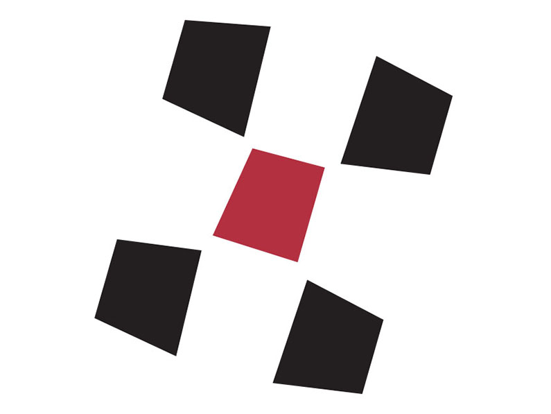 driveteam, inc. logo